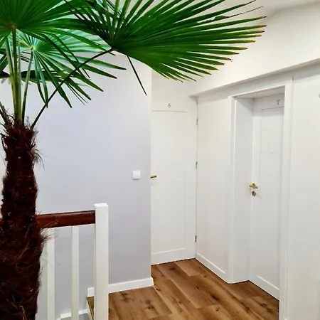 Wladyslawowska 36 - I Goscinne *